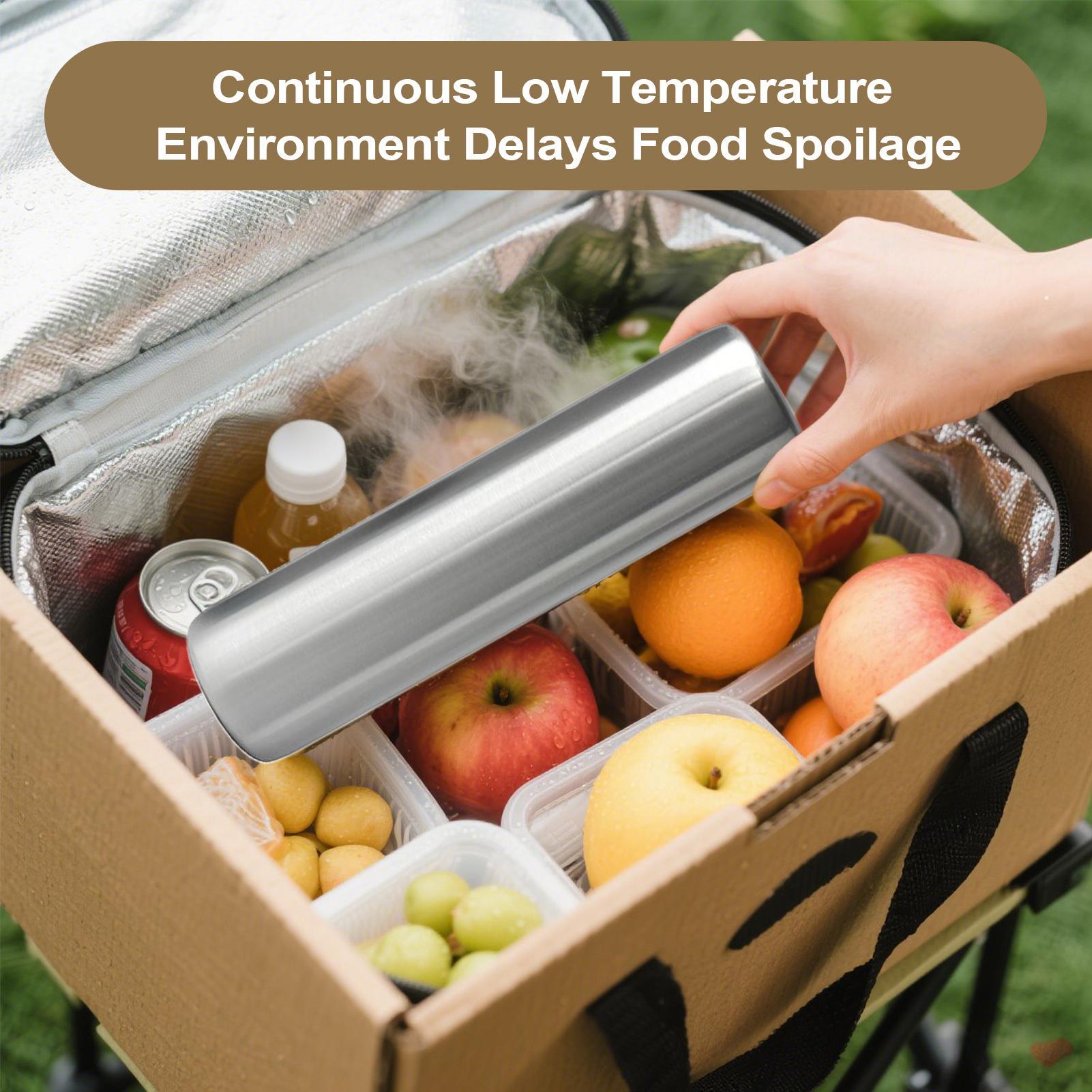Stainless Steel Freezable Ice  - Wine Beer Cooler review and price